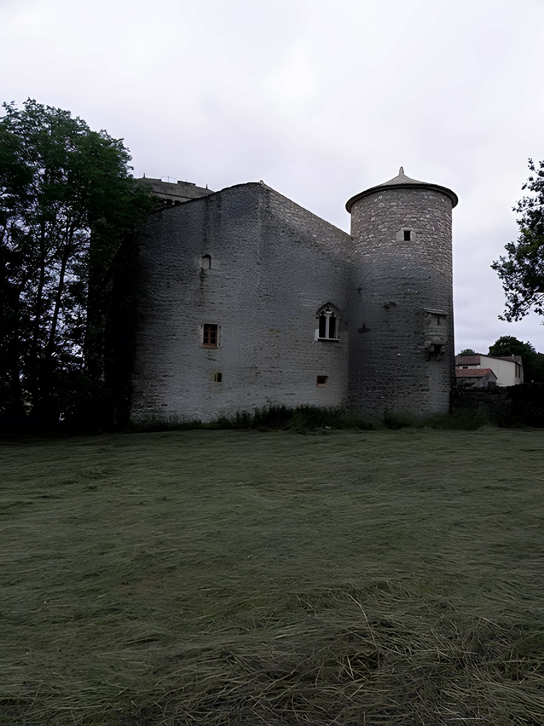 Tour du Viala-du-Pas-de-Jaux