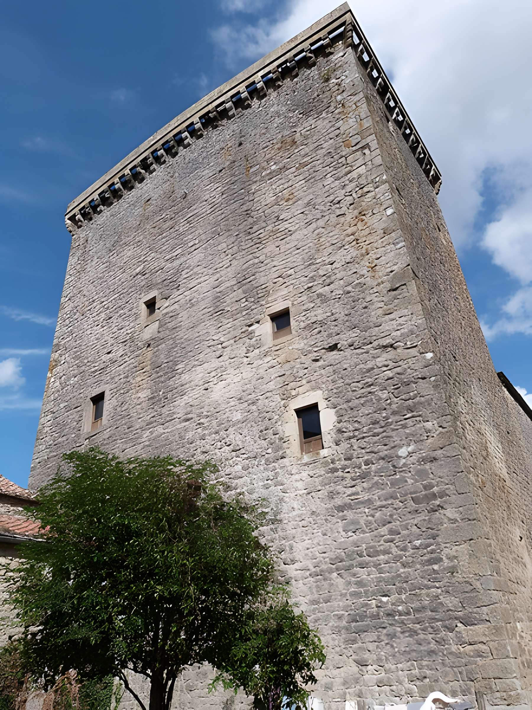 Tour du Viala-du-Pas-de-Jaux