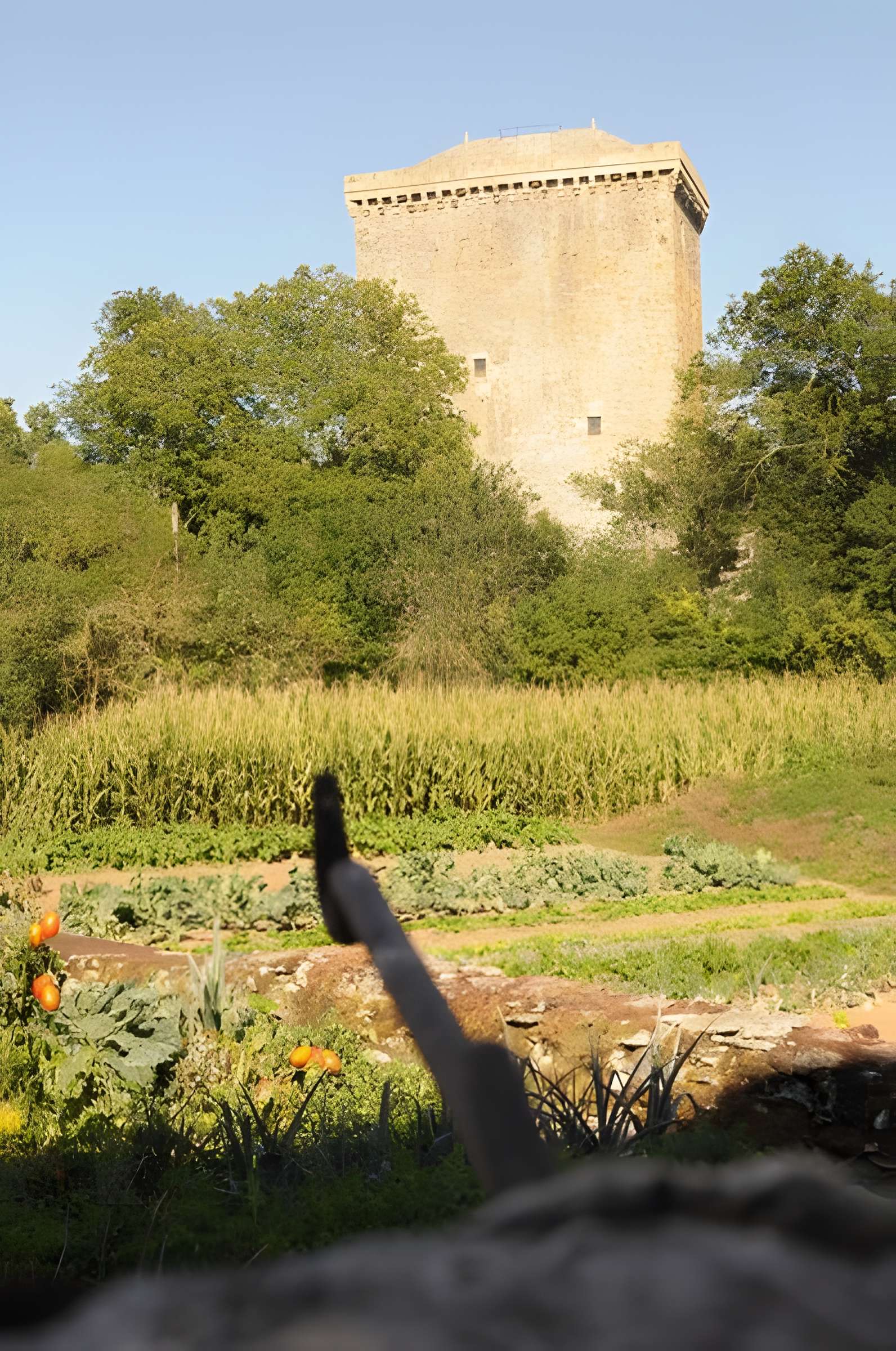 Tour du Viala-du-Pas-de-Jaux