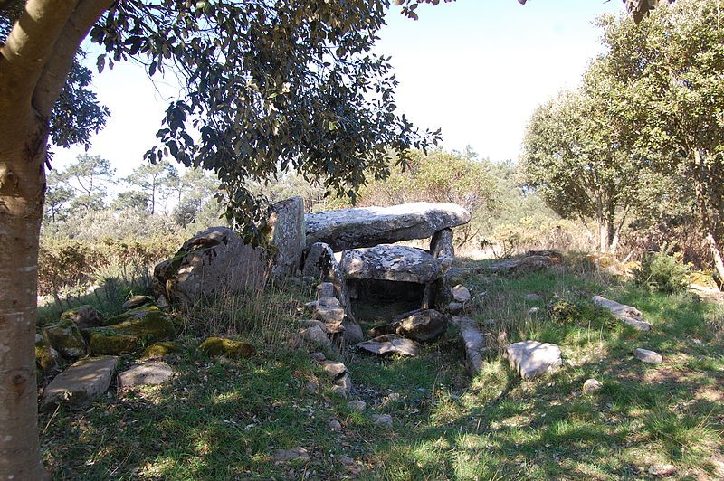 Photo de Dolmen de Mané Rohr à La Trinité-sur-Mer