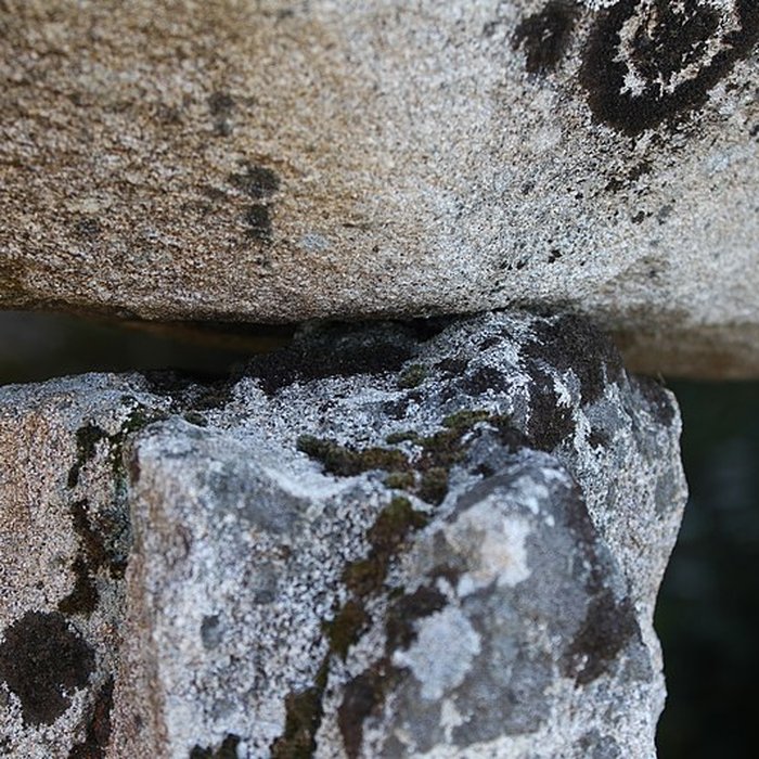 Photo de Dolmen de Mané Rohr à La Trinité-sur-Mer