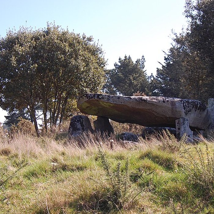 Photo de Dolmen de Mané Rohr à La Trinité-sur-Mer