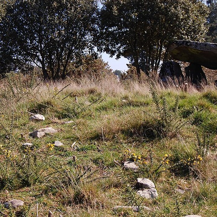 Photo de Dolmen de Mané Rohr à La Trinité-sur-Mer