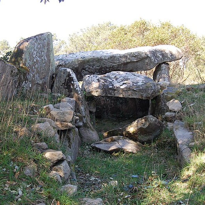 Photo de Dolmen de Mané Rohr à La Trinité-sur-Mer