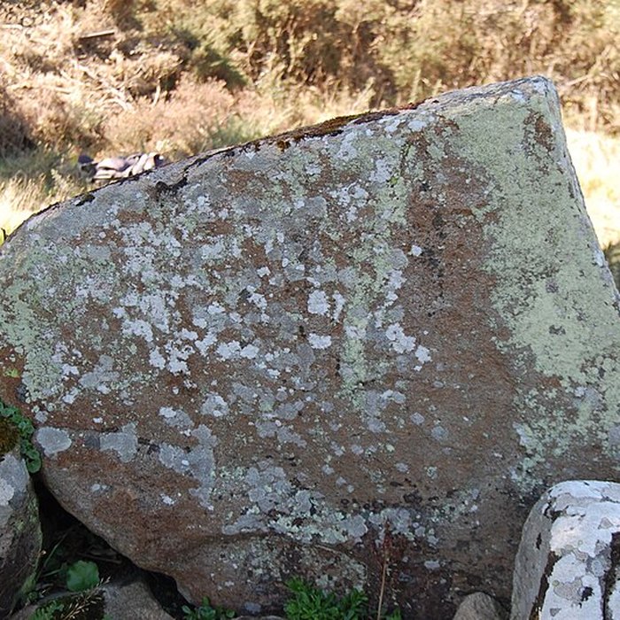 Photo de Dolmen de Mané Rohr à La Trinité-sur-Mer