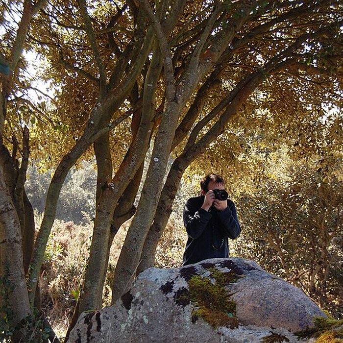 Photo de Dolmen de Mané Rohr à La Trinité-sur-Mer