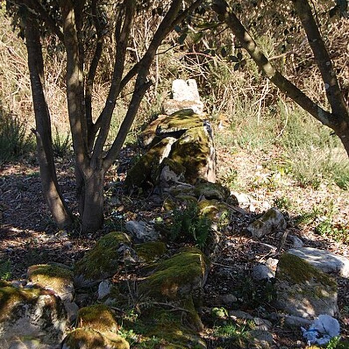 Photo de Dolmen de Mané Rohr à La Trinité-sur-Mer