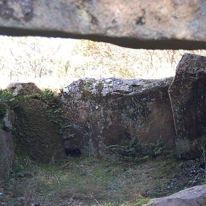 Photo de Dolmen de Mané Rohr à La Trinité-sur-Mer