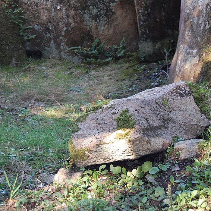 Photo de Dolmen de Mané Rohr à La Trinité-sur-Mer