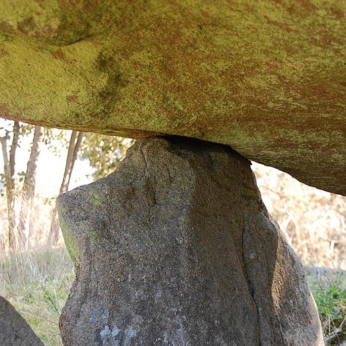 Photo de Dolmen de Mané Rohr à La Trinité-sur-Mer