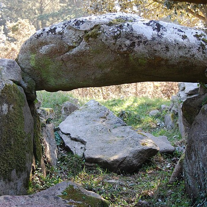 Photo de Dolmen de Mané Rohr à La Trinité-sur-Mer