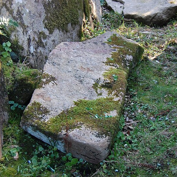 Photo de Dolmen de Mané Rohr à La Trinité-sur-Mer