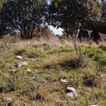 Dolmen de Mané Rohr à La Trinité-sur-Mer