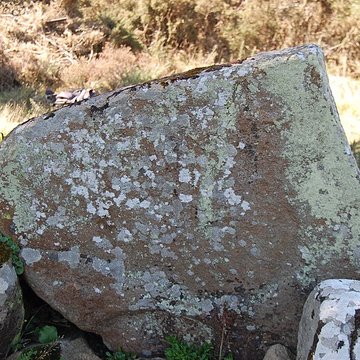 Dolmen de Mané Rohr à La Trinité-sur-Mer