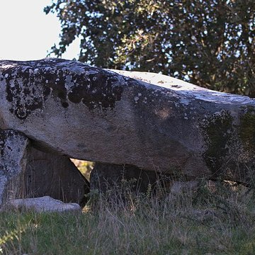 Dolmen de Mané Rohr à La Trinité-sur-Mer