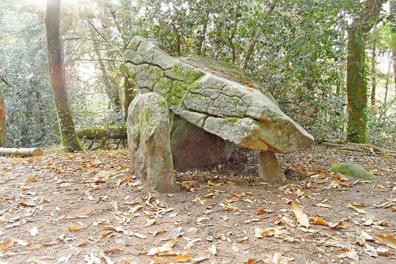 Photo de Dolmen de Ménez-Liaven à Pluguffan