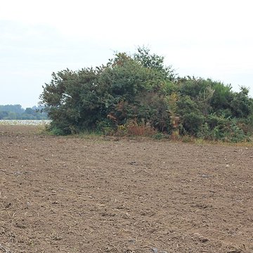 Dolmen de Nelhouët à Caudan