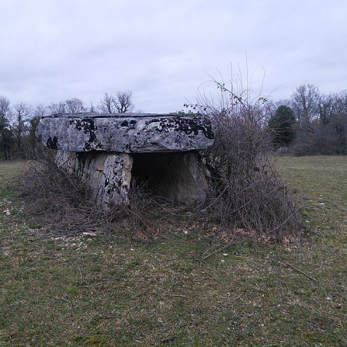 Photo de Dolmen de Peych Peyroux à Livernon