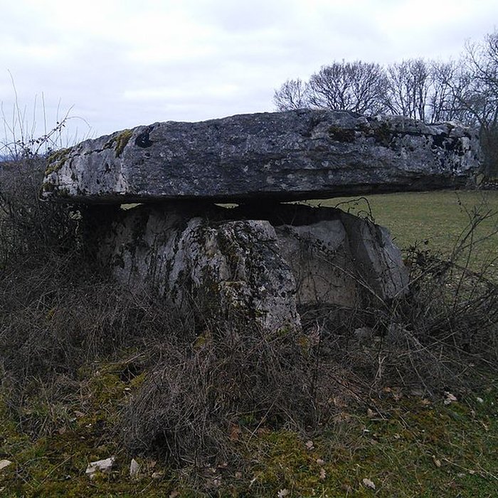 Photo de Dolmen de Peych Peyroux à Livernon