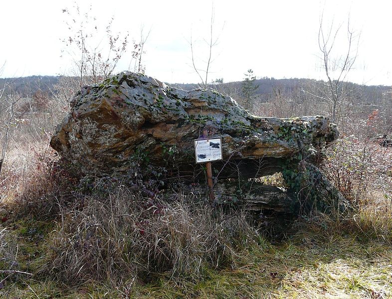 Photo de Dolmen de Peyre Levade à Condat-sur-Trincou