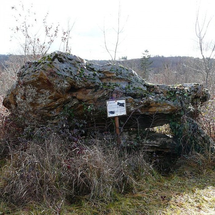Photo de Dolmen de Peyre Levade à Condat-sur-Trincou