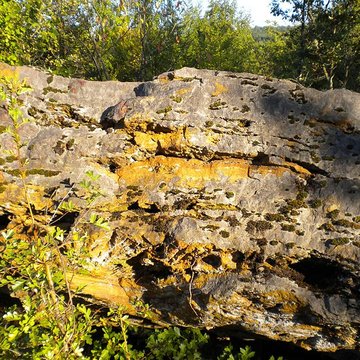 Dolmen de Peyre Levade à Condat-sur-Trincou
