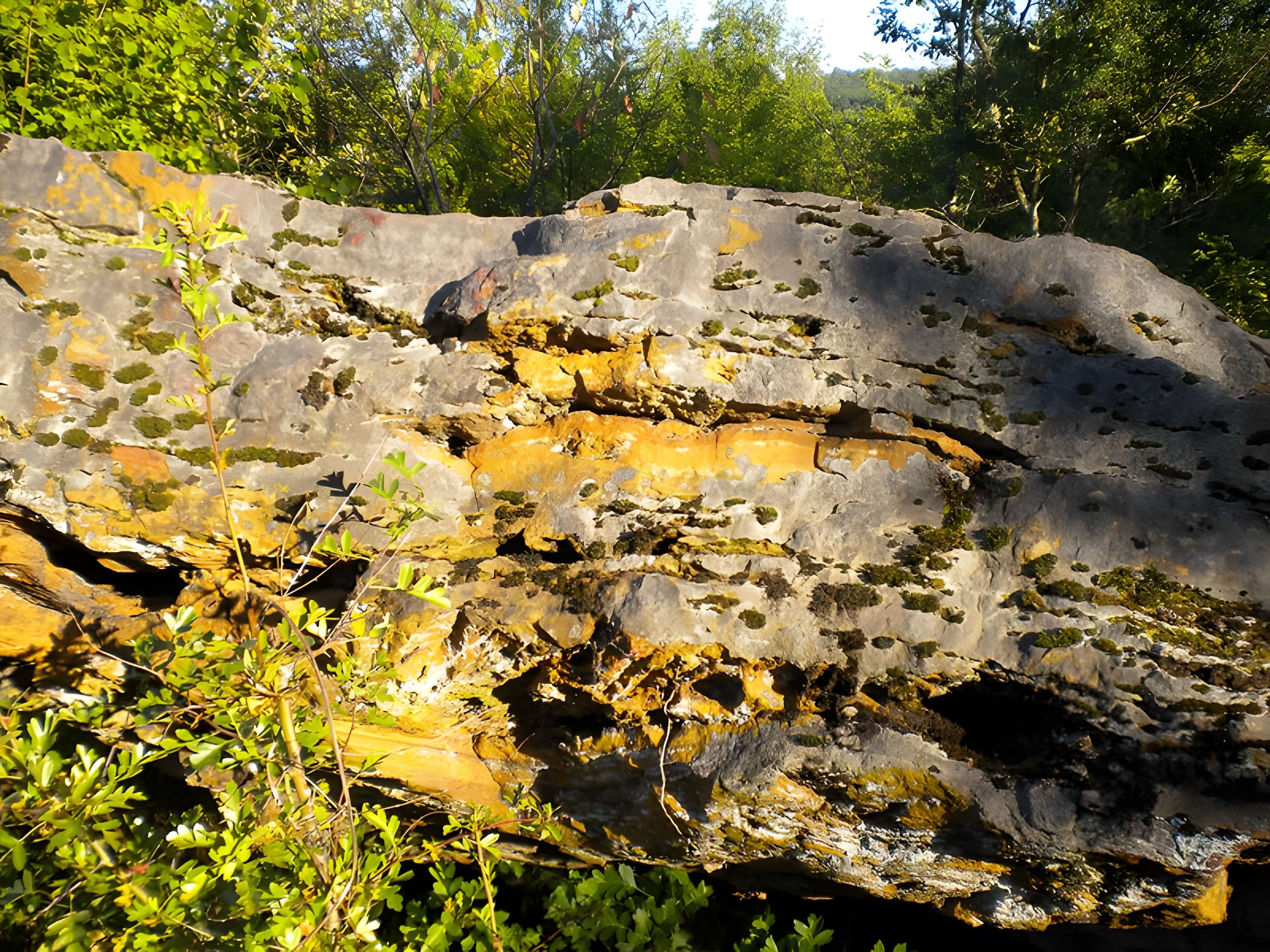 Dolmen de Peyre Levade à Condat-sur-Trincou
