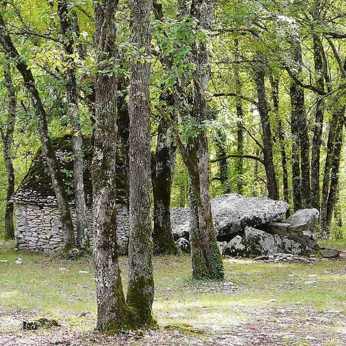 Photo de Dolmen de Peyrelevade à Limeyrat