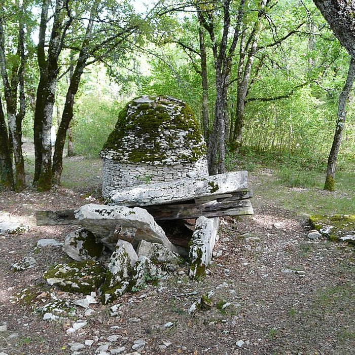 Photo de Dolmen de Peyrelevade à Limeyrat