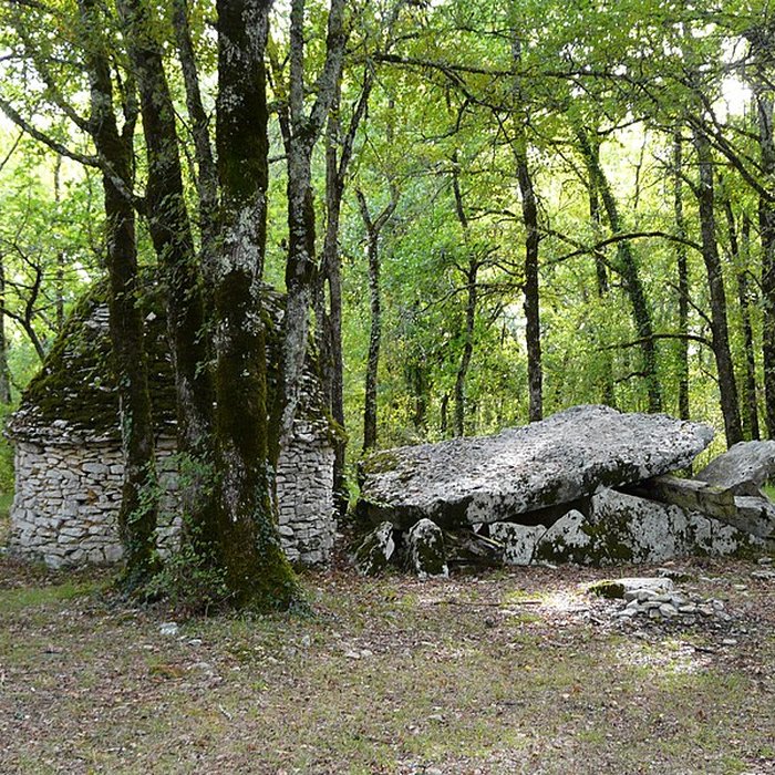 Photo de Dolmen de Peyrelevade à Limeyrat