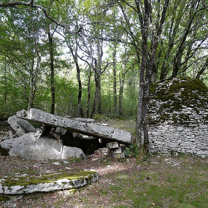 Photo de Dolmen de Peyrelevade à Limeyrat