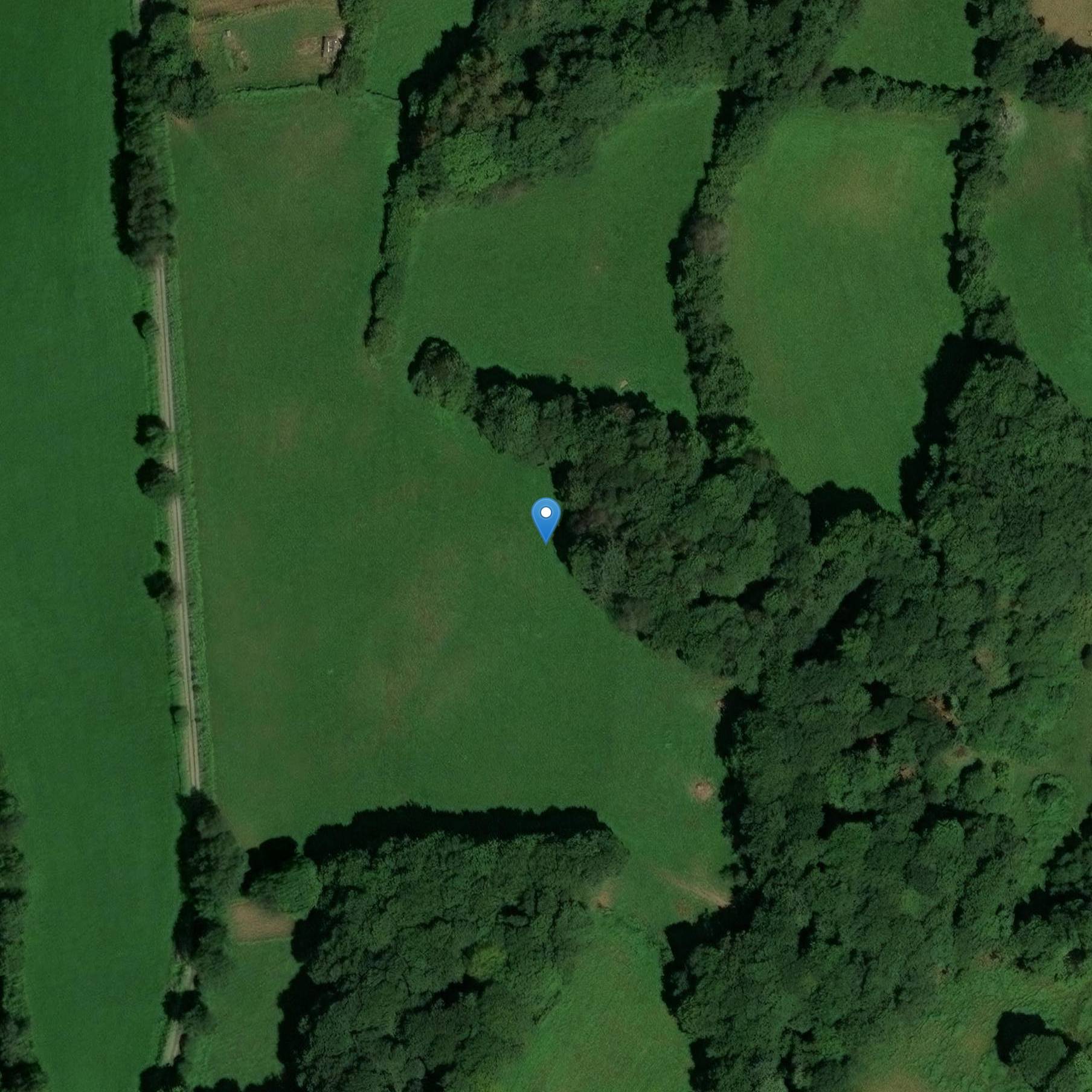 Photo de Dolmen de Peyro-Coupeliero à Lamazière-Haute