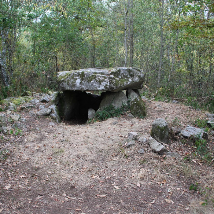 Photo de Dolmen de Pierre-sous-Pèze à La Serre-Bussière-Vieille