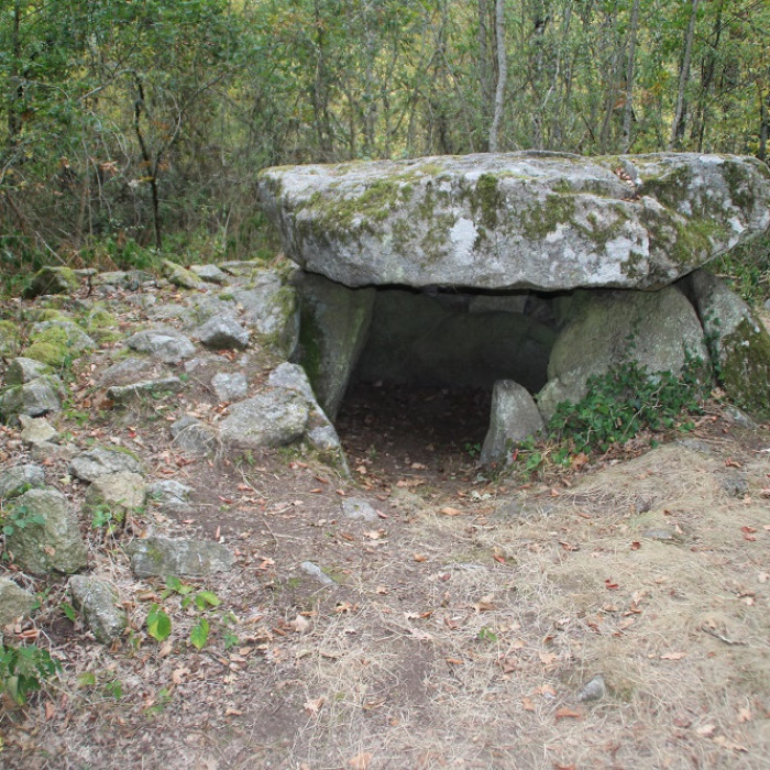 Photo de Dolmen de Pierre-sous-Pèze à La Serre-Bussière-Vieille