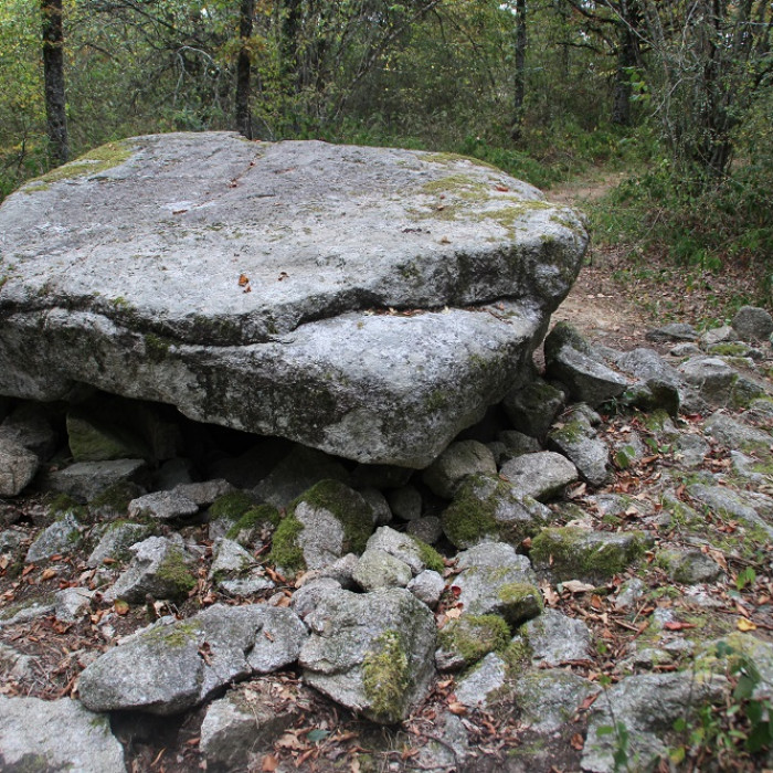 Photo de Dolmen de Pierre-sous-Pèze à La Serre-Bussière-Vieille