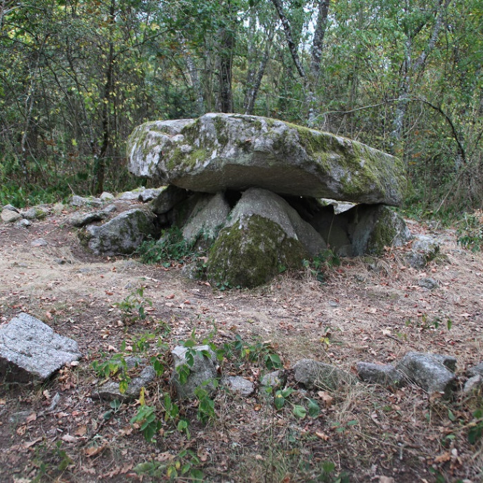 Photo de Dolmen de Pierre-sous-Pèze à La Serre-Bussière-Vieille