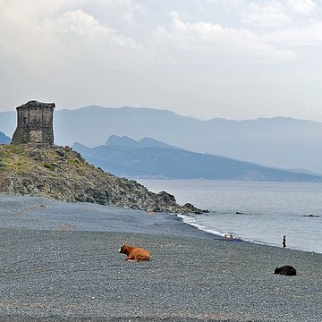 Tour génoise dAlbo à Ogliastro