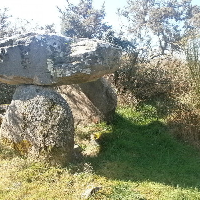 Photo de Dolmen de Roch-Vihan à Carnac