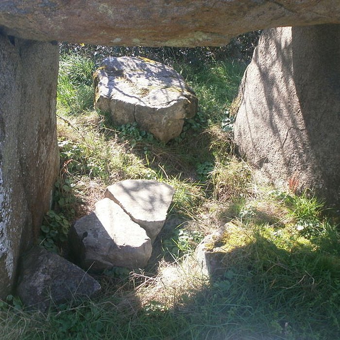 Photo de Dolmen de Roch-Vihan à Carnac