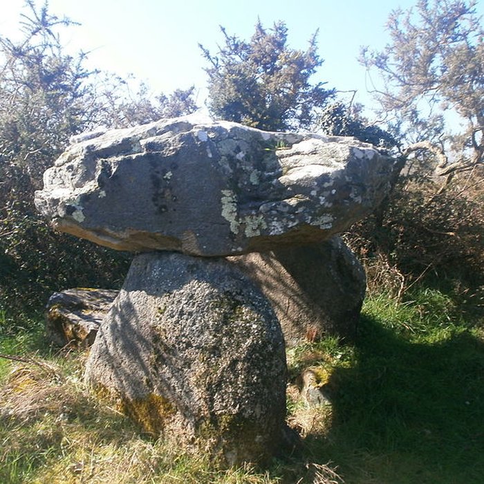 Photo de Dolmen de Roch-Vihan à Carnac