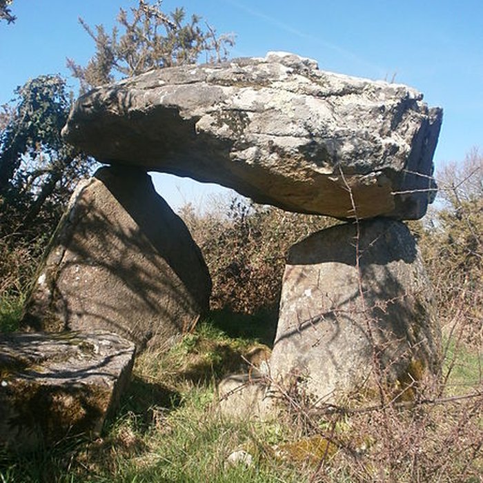 Photo de Dolmen de Roch-Vihan à Carnac