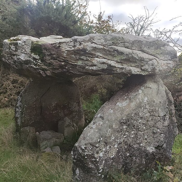 Photo de Dolmen de Roch-Vihan à Carnac