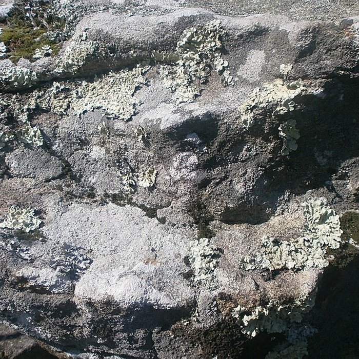 Photo de Dolmen de Roch-Vihan à Carnac