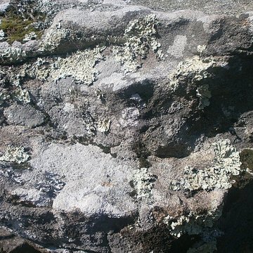 Dolmen de Roch-Vihan à Carnac