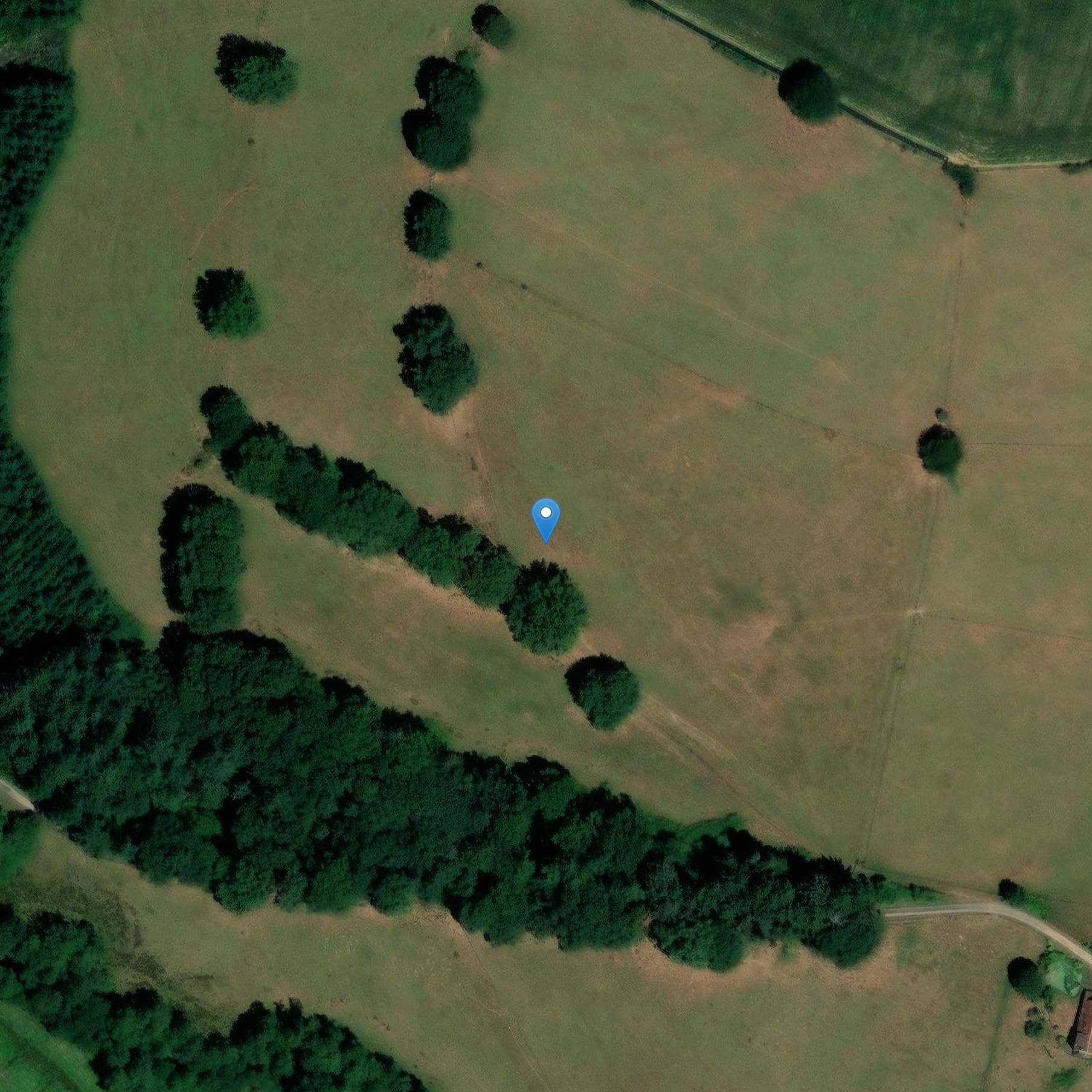 Photo de Dolmen de Sainte-Marie à Châteauneuf-la-Forêt