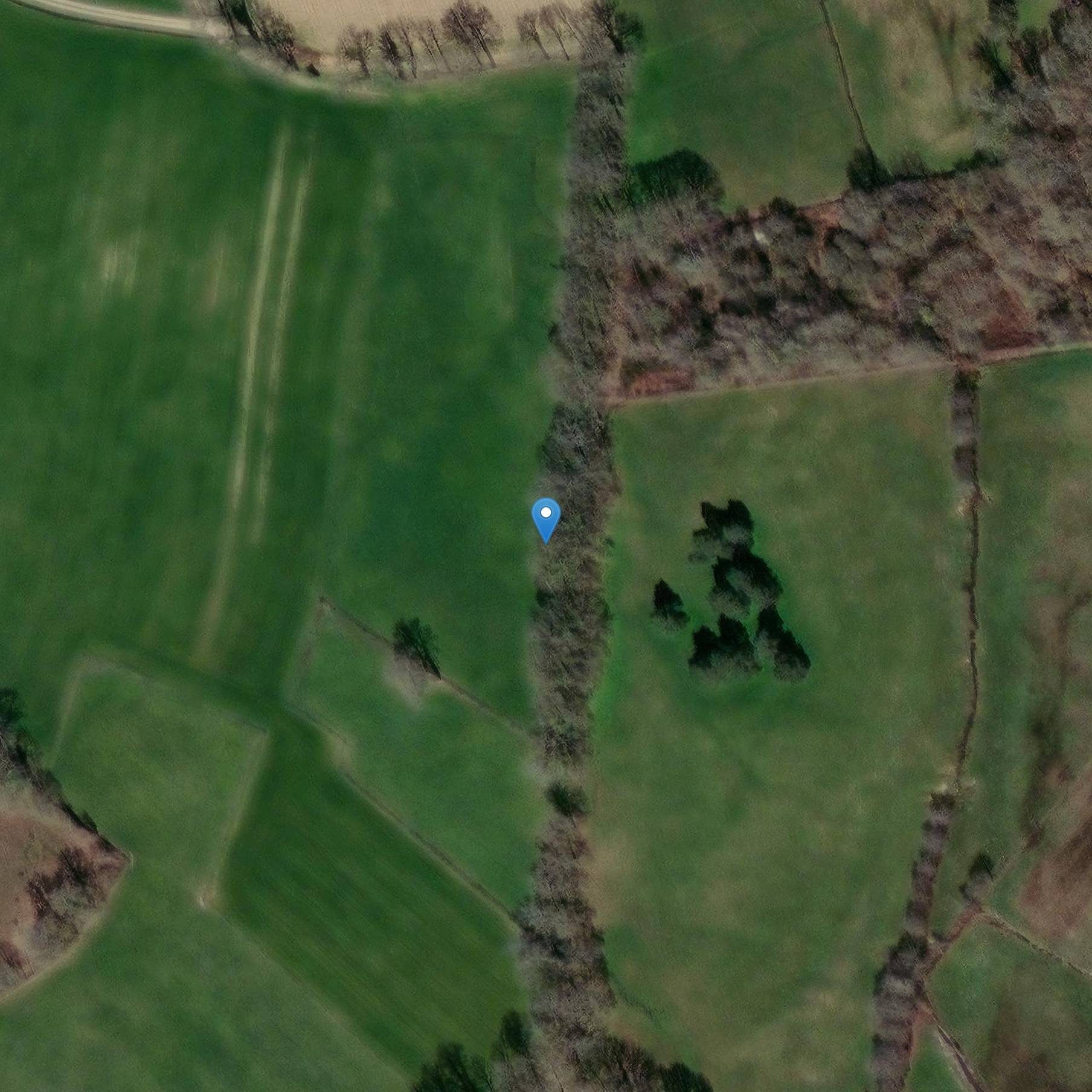 Photo de Dolmen de Saint-Hilaire à Saint-Priest-la-Plaine