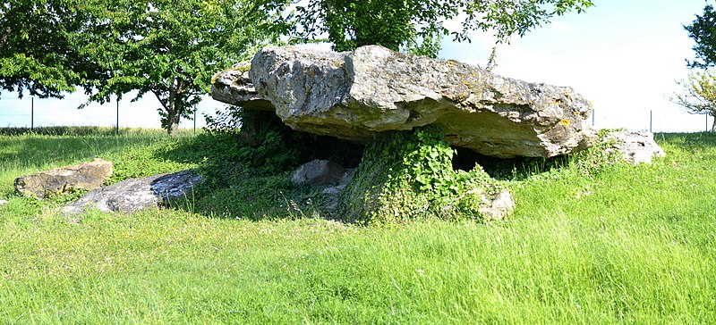 Dolmen de Saint-Léger-de-Montbrillais