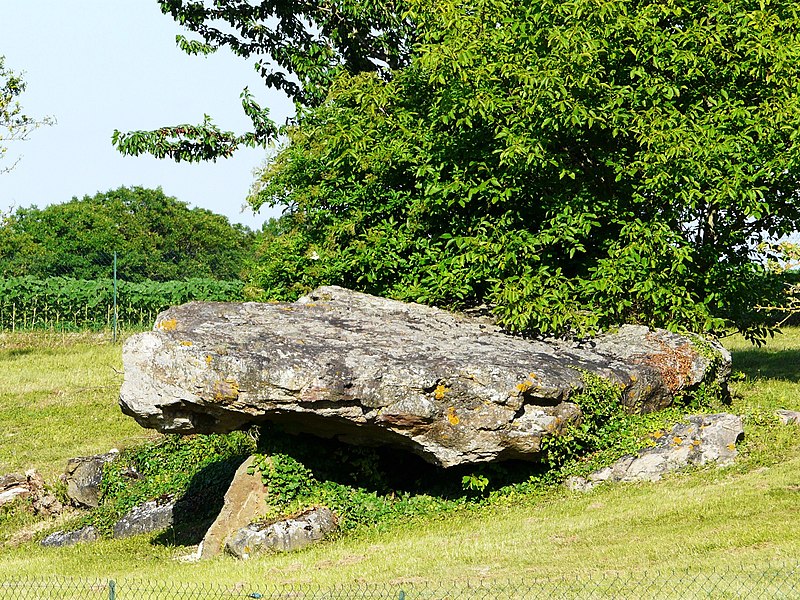 Dolmen de Saint-Léger-de-Montbrillais