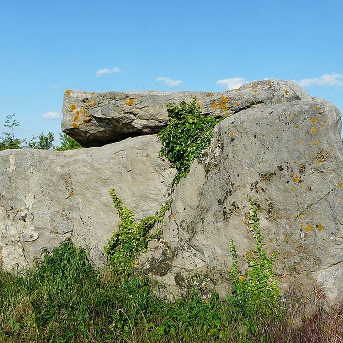 Photo de Dolmen de Saint-Léger-de-Montbrillais