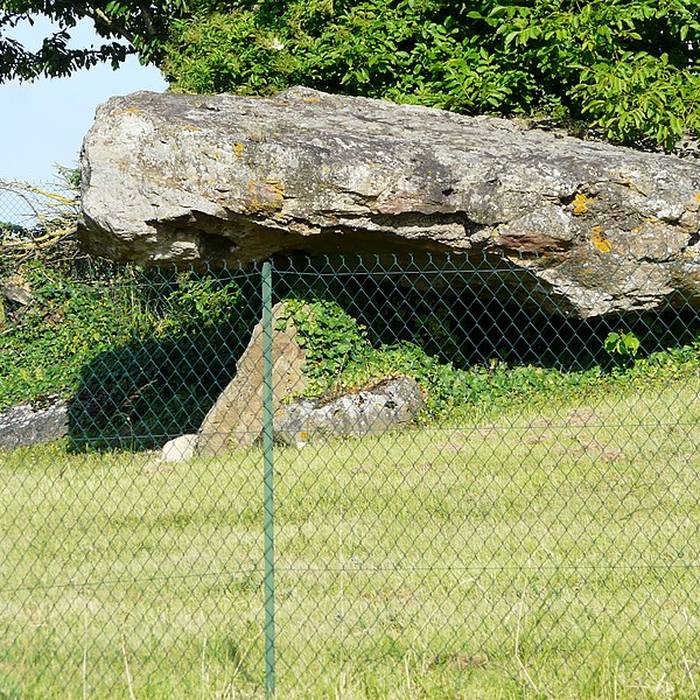 Photo de Dolmen de Saint-Léger-de-Montbrillais